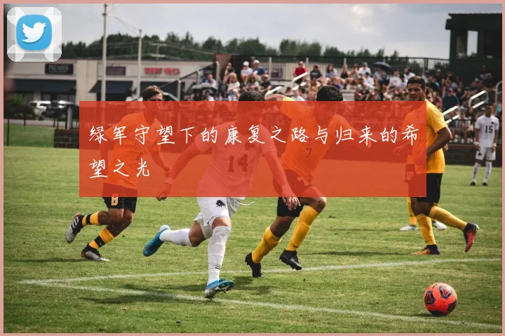 绿军守望下的康复之路与归来的希望之光