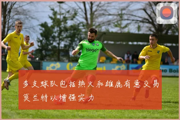 多支球队包括热火和雄鹿有意交易莫兰特以增强实力