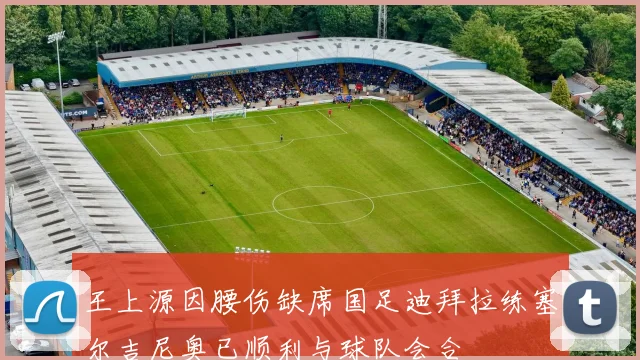 王上源因腰伤缺席国足迪拜拉练塞尔吉尼奥已顺利与球队会合
